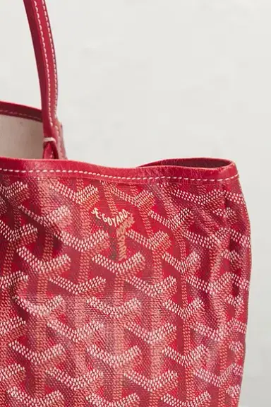 goyard Saint Louis PM Tote Bag | Thumbnail 8 goyard Saint Louis PM Tote Bag | Thumbnail 8
