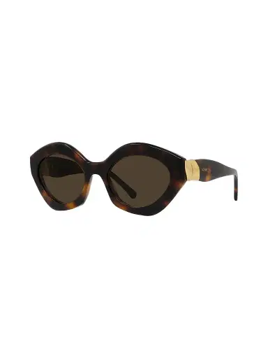 Loewe Women's Coil 53MM Geometric Cat-Eye Sunglasses - Brown | Thumbnail 1 Loewe Women's Coil 53MM Geometric Cat-Eye Sunglasses - Brown | Thumbnail 1