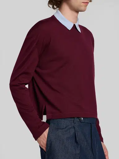 Jil Sander Men's Contrast Collar Wool Sweater | Thumbnail 5 Jil Sander Men's Contrast Collar Wool Sweater | Thumbnail 5