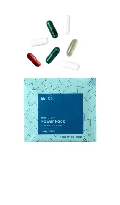 Bird&Be Male Fertility Power Pack | Thumbnail 2 Bird&Be Male Fertility Power Pack | Thumbnail 2