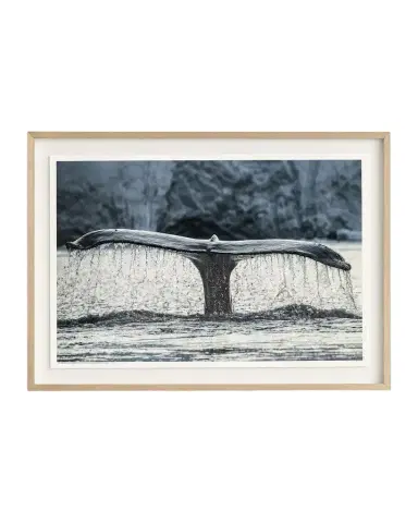 John-Richard Collection "Whale of a Tale" Framed Photo Print by Rodney Bursiel | Thumbnail 1 John-Richard Collection "Whale of a Tale" Framed Photo Print by Rodney Bursiel | Thumbnail 1