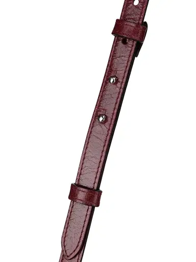 Isabel Marant Women's Winna Duo Leather Crossbody Bag - Burgundy | Thumbnail 6 Isabel Marant Women's Winna Duo Leather Crossbody Bag - Burgundy | Thumbnail 6