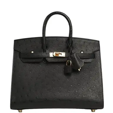 HERMÈS Hermes Birkin Sellier 25 Black Ostrich Gold Hardware | Thumbnail 1 HERMÈS Hermes Birkin Sellier 25 Black Ostrich Gold Hardware | Thumbnail 1