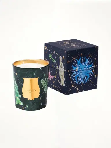 TRUDON Trudon 2025 Holiday Fir Candle 800g | Thumbnail 2 TRUDON Trudon 2025 Holiday Fir Candle 800g | Thumbnail 2