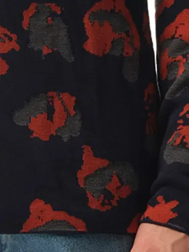 Lanvin Leopard Jacq Sweatshirter | Thumbnail 2 Lanvin Leopard Jacq Sweatshirter | Thumbnail 2