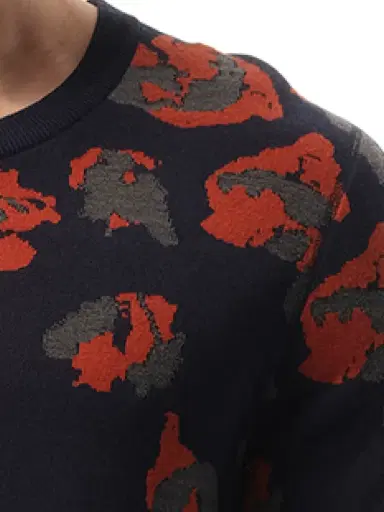 Lanvin Leopard Jacq Sweatshirter | Thumbnail 3 Lanvin Leopard Jacq Sweatshirter | Thumbnail 3