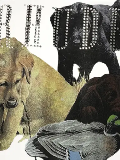 Rhude Rhinestone Hunting Dog T-shirt | Thumbnail 2 Rhude Rhinestone Hunting Dog T-shirt | Thumbnail 2