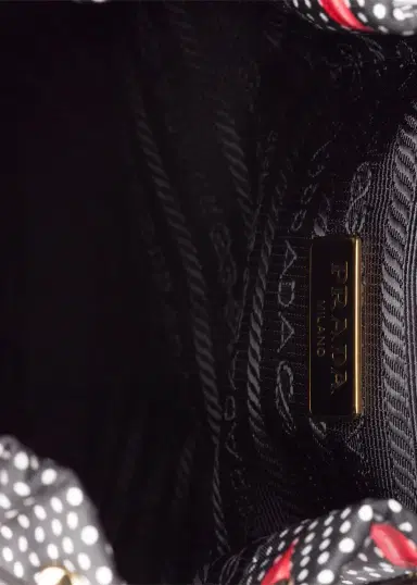 Prada Lips-Print Re-Nylon Pouch Bag | Thumbnail 3 Prada Lips-Print Re-Nylon Pouch Bag | Thumbnail 3