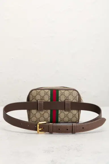 Gucci Gucci Ophidia Belt Bag | Thumbnail 3 Gucci Gucci Ophidia Belt Bag | Thumbnail 3