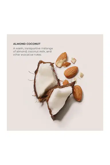 Laura Mercier Almond Coconut Souffle Hand Cream | Thumbnail 4 Laura Mercier Almond Coconut Souffle Hand Cream | Thumbnail 4