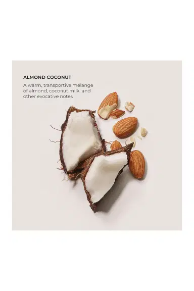 Laura Mercier Almond Coconut Serum Body Cream | Thumbnail 4 Laura Mercier Almond Coconut Serum Body Cream | Thumbnail 4