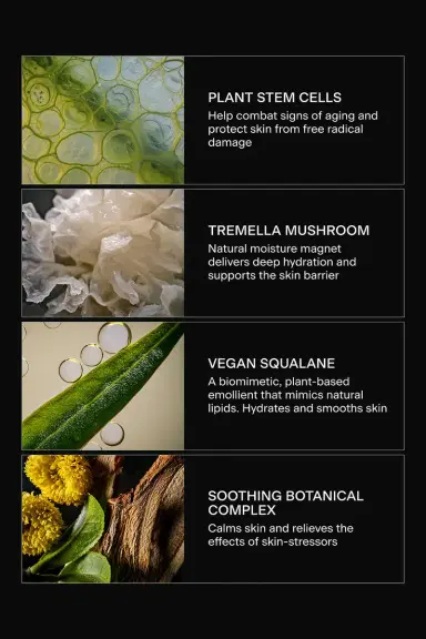 Caldera + Lab Caldera + Lab The Base Layer Fortifying Moisturizer | Thumbnail 6 Caldera + Lab Caldera + Lab The Base Layer Fortifying Moisturizer | Thumbnail 6
