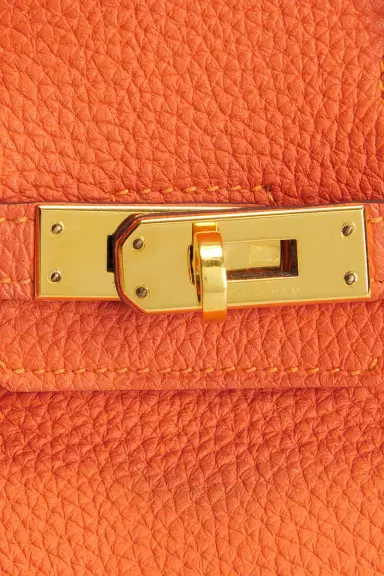 HERMÈS Hermes Chevre Birkin 25 Handbag | Thumbnail 6 HERMÈS Hermes Chevre Birkin 25 Handbag | Thumbnail 6