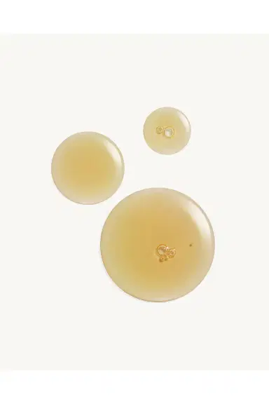 REOME Active Recovery Broth 50ml | Thumbnail 2 REOME Active Recovery Broth 50ml | Thumbnail 2