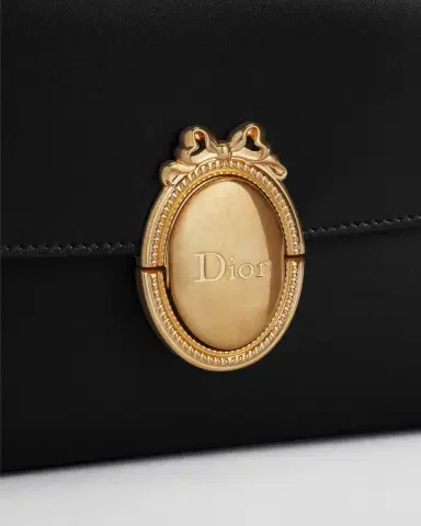 Dior Dior Médaillon Pouch | Thumbnail 6 Dior Dior Médaillon Pouch | Thumbnail 6