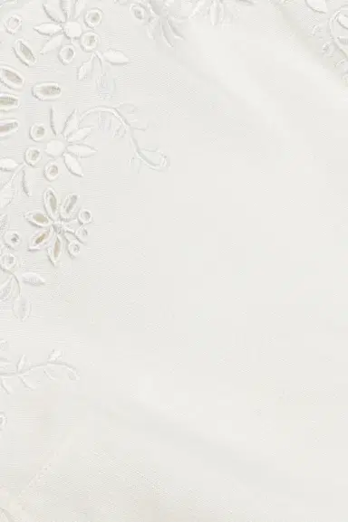 Simkhai Edena Embroidered Linen Mini Dress | Thumbnail 5 Simkhai Edena Embroidered Linen Mini Dress | Thumbnail 5