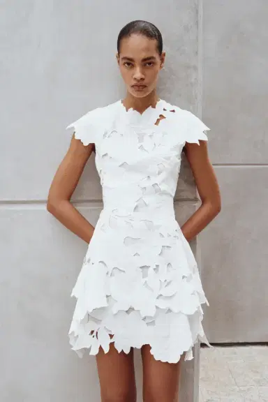 Simkhai Holloway Embroidered Mini Dress | Thumbnail 2 Simkhai Holloway Embroidered Mini Dress | Thumbnail 2