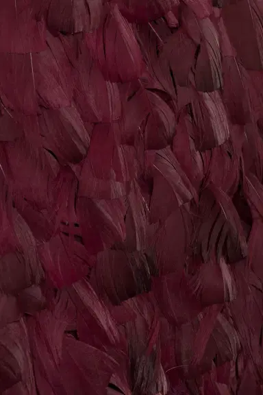 Simkhai Malvina Feather Gown | Thumbnail 6 Simkhai Malvina Feather Gown | Thumbnail 6