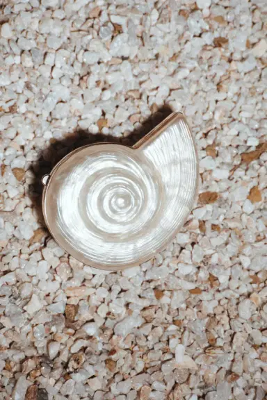 Simkhai Marion Shell Clutch | Thumbnail 2 Simkhai Marion Shell Clutch | Thumbnail 2