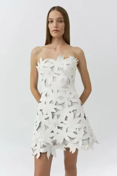 Simkhai Miri Embroidered Cotton Bustier Mini Dress | Thumbnail 4 Simkhai Miri Embroidered Cotton Bustier Mini Dress | Thumbnail 4