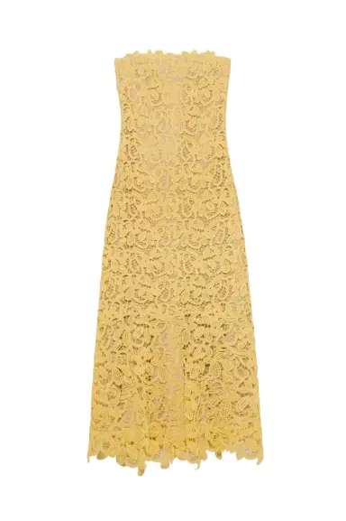 Simkhai Sera Floral Raffia Bustier Midi Dress | Thumbnail 1 Simkhai Sera Floral Raffia Bustier Midi Dress | Thumbnail 1