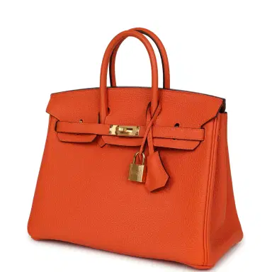 HERMÈS Hermes Birkin 25 Feu Togo Gold Hardware | Thumbnail 5 HERMÈS Hermes Birkin 25 Feu Togo Gold Hardware | Thumbnail 5