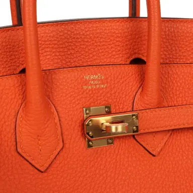 HERMÈS Hermes Birkin 25 Feu Togo Gold Hardware | Thumbnail 7 HERMÈS Hermes Birkin 25 Feu Togo Gold Hardware | Thumbnail 7