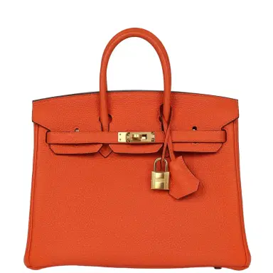 HERMÈS Hermes Birkin 25 Feu Togo Gold Hardware | Thumbnail 1 HERMÈS Hermes Birkin 25 Feu Togo Gold Hardware | Thumbnail 1