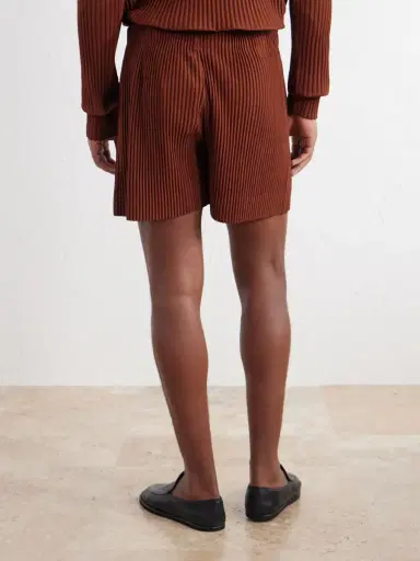 Homme Plissé Issey Miyake Straight-Leg Pleated Shorts - Men | Thumbnail 4 Homme Plissé Issey Miyake Straight-Leg Pleated Shorts - Men | Thumbnail 4