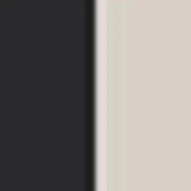 The Row Classic Pebbled Leather Belt | Thumbnail 4 The Row Classic Pebbled Leather Belt | Thumbnail 4