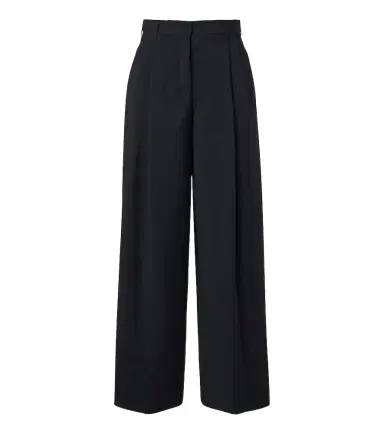 'S Max Mara 'S Max Mara Wide-leg pleated virgin wool pants | Thumbnail 1 'S Max Mara 'S Max Mara Wide-leg pleated virgin wool pants | Thumbnail 1