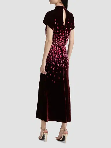 Saloni Women's Fabienne Polka Dot Velvet Dress | Thumbnail 5 Saloni Women's Fabienne Polka Dot Velvet Dress | Thumbnail 5