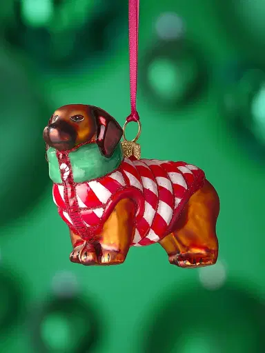 Joy To The World Dachshund Candy Cane Glass Ornament | Thumbnail 1 Joy To The World Dachshund Candy Cane Glass Ornament | Thumbnail 1