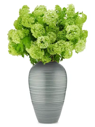 AERIN Introduction Calinda Tapered Vase | Thumbnail 2 AERIN Introduction Calinda Tapered Vase | Thumbnail 2