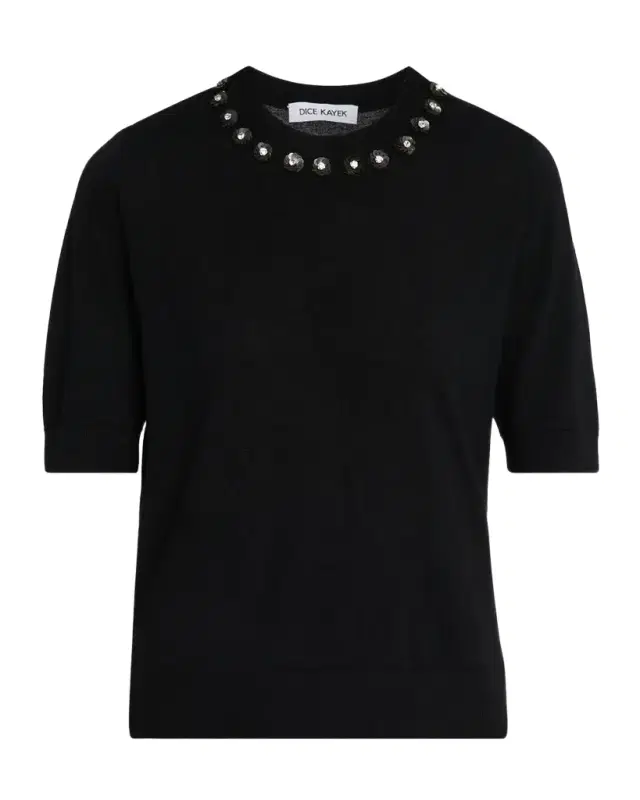 Embellished Crewneck Short-Sleeve Wool Sweater Embellished Crewneck Short-Sleeve Wool Sweater