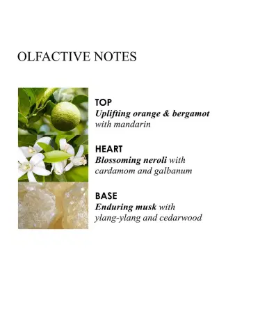Molton Brown Orange & Bergamot Hand Lotion | Thumbnail 4 Molton Brown Orange & Bergamot Hand Lotion | Thumbnail 4