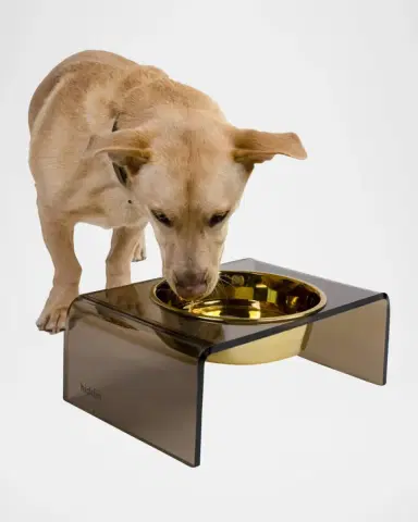 Hiddin Bronze Single Bowl Pet Feeder, 2 Quart | Thumbnail 4 Hiddin Bronze Single Bowl Pet Feeder, 2 Quart | Thumbnail 4