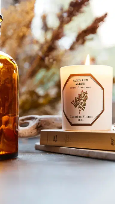 Carriere Freres Sandalwood Candle No Color | Thumbnail 4 Carriere Freres Sandalwood Candle No Color | Thumbnail 4