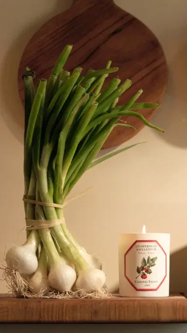 Carriere Freres Tomato Candle No Color | Thumbnail 3 Carriere Freres Tomato Candle No Color | Thumbnail 3