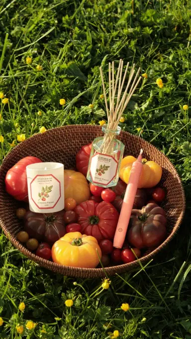Carriere Freres Tomato Candle No Color | Thumbnail 4 Carriere Freres Tomato Candle No Color | Thumbnail 4