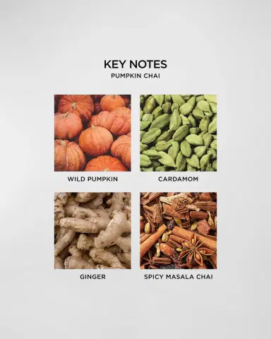 NEST New York 43.7 oz. Pumpkin Chai Candle | Thumbnail 4 NEST New York 43.7 oz. Pumpkin Chai Candle | Thumbnail 4