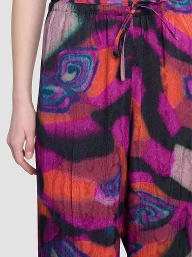 Dries Van Noten Women's Puvis Printed Wrinkle Pants | Thumbnail 5 Dries Van Noten Women's Puvis Printed Wrinkle Pants | Thumbnail 5