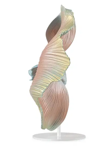 Lladro Betta Fish (Right) Sculpture | Thumbnail 4 Lladro Betta Fish (Right) Sculpture | Thumbnail 4