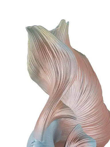 Lladro Betta Fish (Right) Sculpture | Thumbnail 7 Lladro Betta Fish (Right) Sculpture | Thumbnail 7