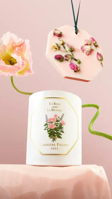 Carriere Freres La Rose Aime La Menthe Botanical Palets No Color | Thumbnail 6 Carriere Freres La Rose Aime La Menthe Botanical Palets No Color | Thumbnail 6