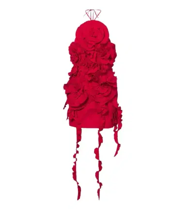 BLUMARINE Floral-appliqué minidress | Thumbnail 1 BLUMARINE Floral-appliqué minidress | Thumbnail 1