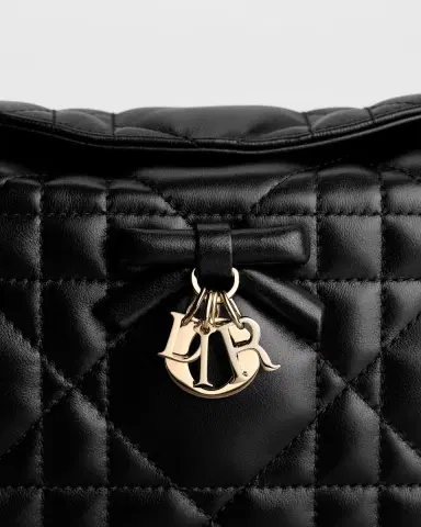 Dior Adiorable Top Handle Mini Bag | Thumbnail 5 Dior Adiorable Top Handle Mini Bag | Thumbnail 5