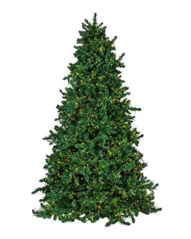 Barcana Royal Majestic Pine Pre-Lit Christmas Tree w/ Cluster Warm White LED Lights, 7.5 ' | Thumbnail 2 Barcana Royal Majestic Pine Pre-Lit Christmas Tree w/ Cluster Warm White LED Lights, 7.5 ' | Thumbnail 2