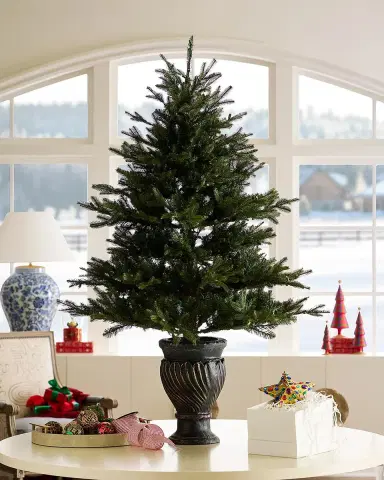 Barcana 4.5 ' Alaskan Deluxe Pre-Lit Christmas Tree with Tree Pot | Thumbnail 2 Barcana 4.5 ' Alaskan Deluxe Pre-Lit Christmas Tree with Tree Pot | Thumbnail 2