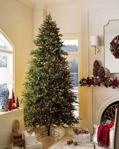 Barcana 10 ' Alaskan Deluxe Pre-Lit Christmas Tree | Thumbnail 1 Barcana 10 ' Alaskan Deluxe Pre-Lit Christmas Tree | Thumbnail 1
